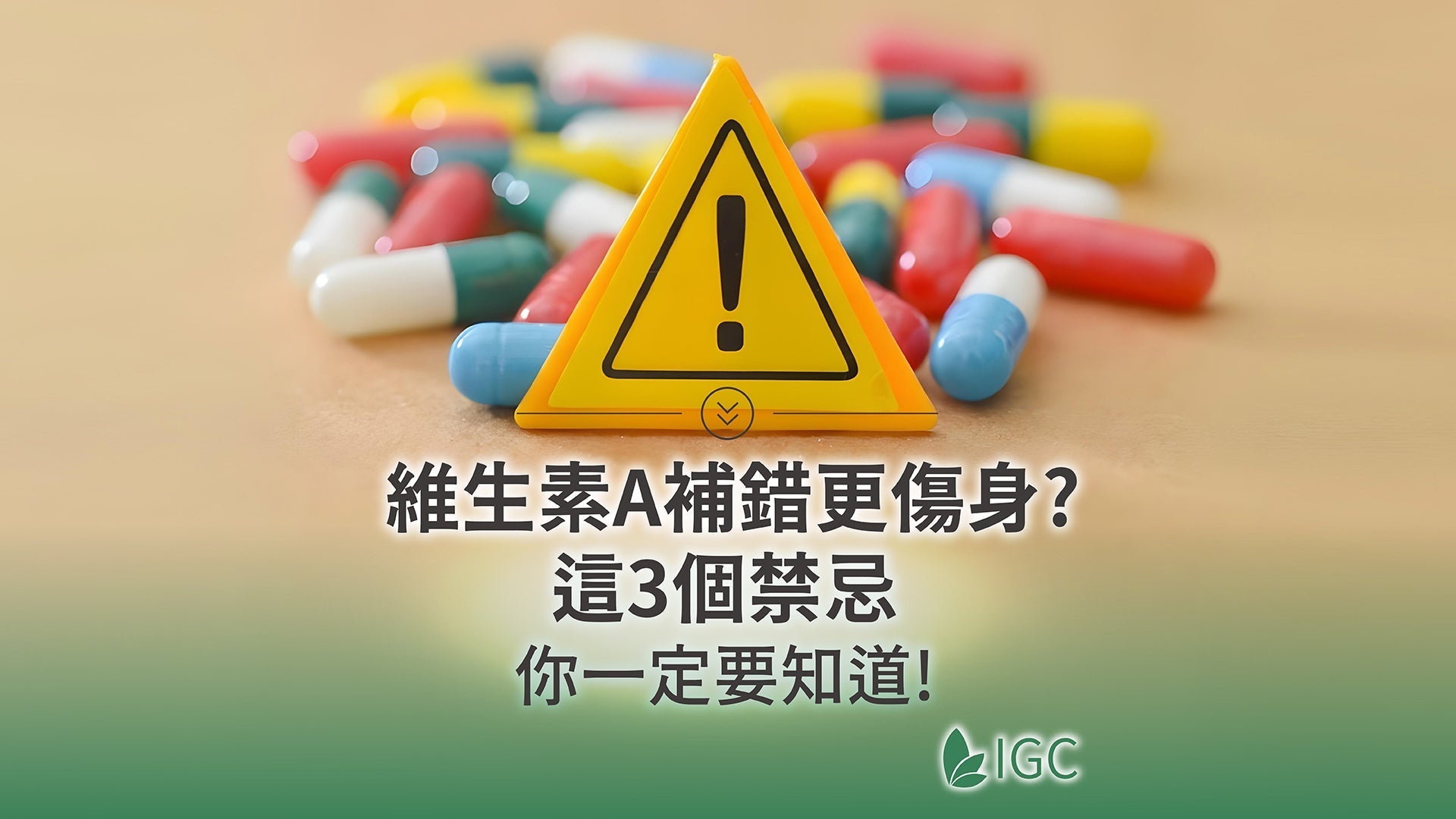 維生素A不能亂補!功效、食物來源與一天攝取量完整指南 - Imagine Global Care