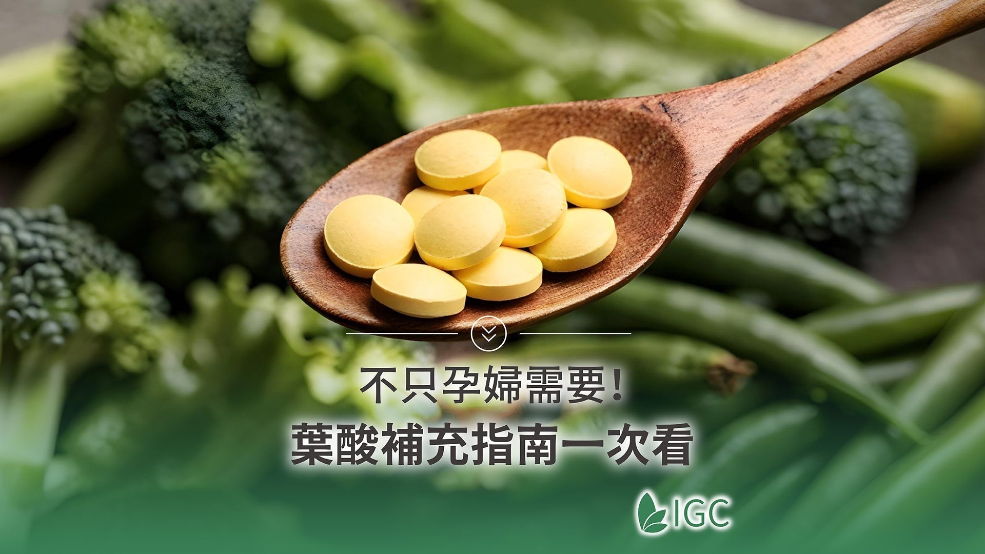 葉酸功效不只懷孕!葉酸是什麼、葉酸食物與葉酸什麼時候吃一次解析 - Imagine Global Care