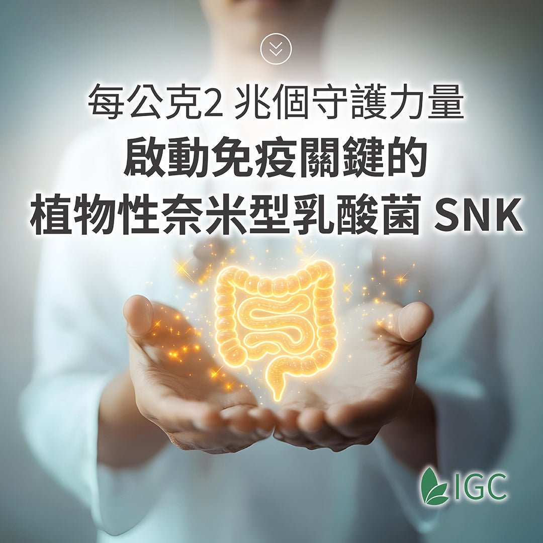每公克2 兆個守護力量，啟動免疫關鍵的植物性奈米型乳酸菌 SNK - Imagine Global Care