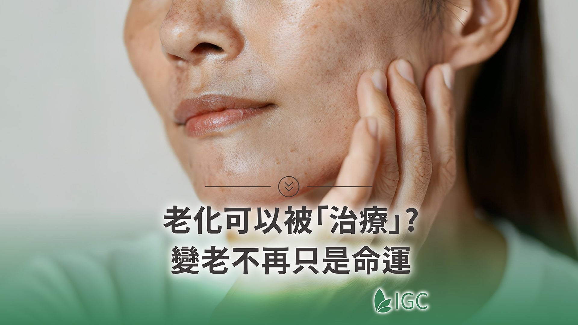 當「變老」可以被治療？  ——來自花椰菜的青春開關