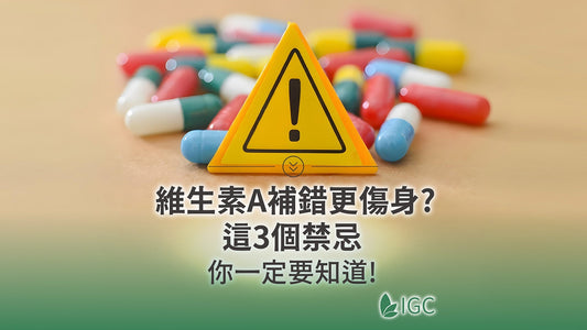 維生素A不能亂補！功效、食物來源與一天攝取量完整指南 - Imagine Global Care