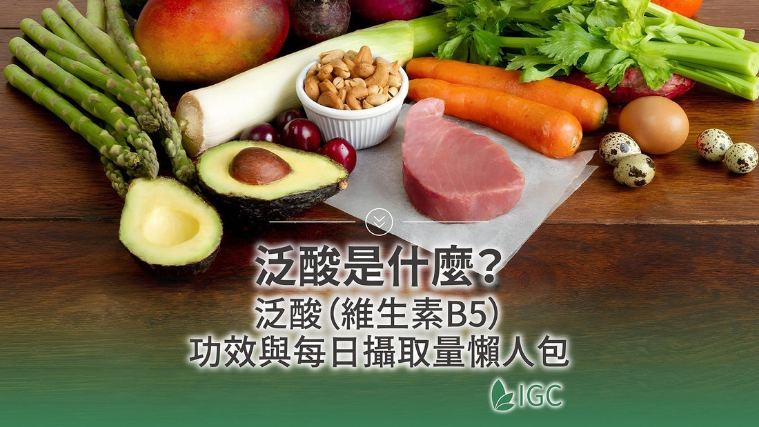 不是只有B群！泛酸（維生素B5）是代謝關鍵：功效、食物、每日攝取量與過量風險一次看 - Imagine Global Care